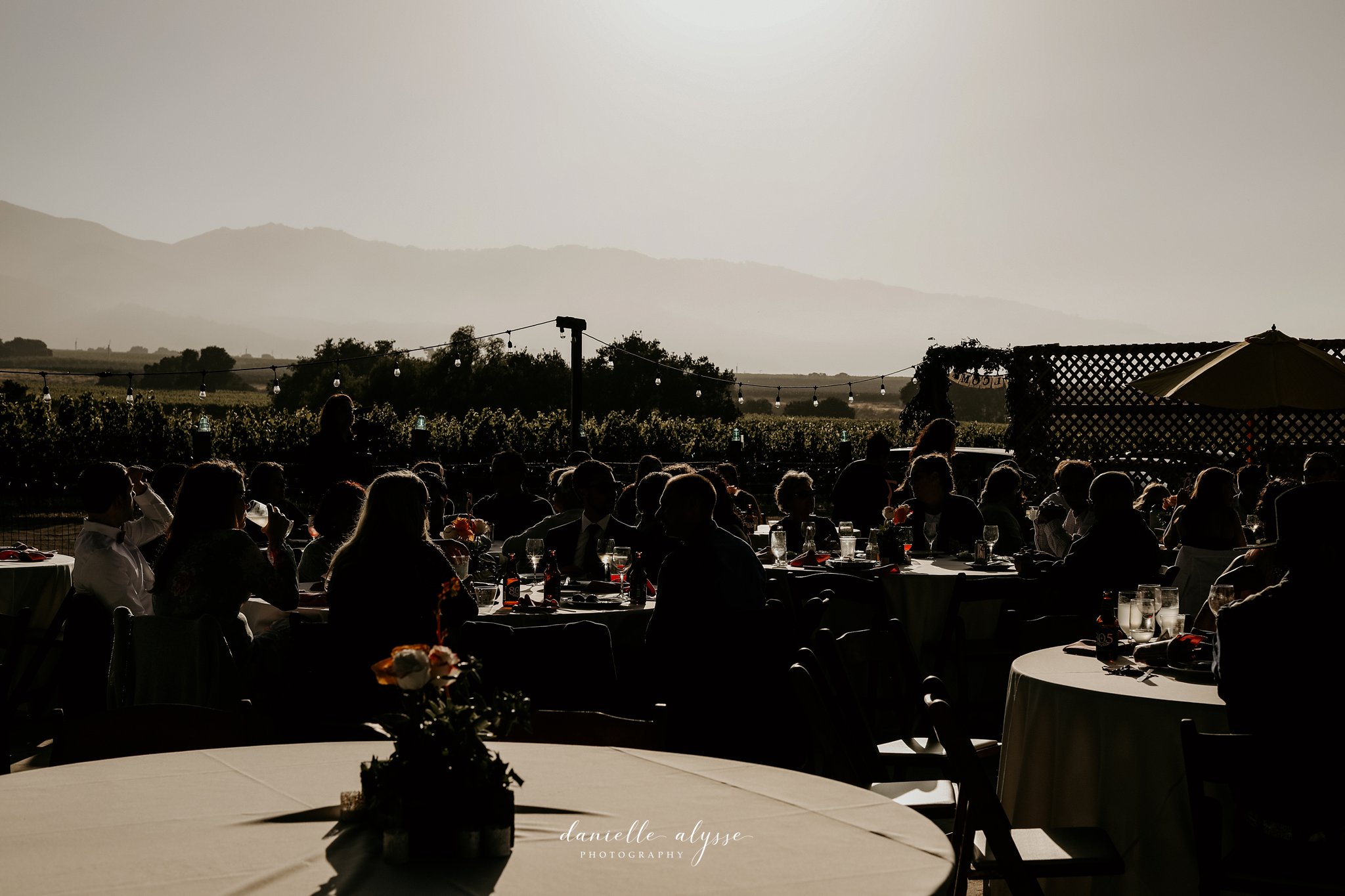 180630_wedding_lily_ryan_mission_soledad_california_danielle_alysse_photography_blog_928_WEB.jpg