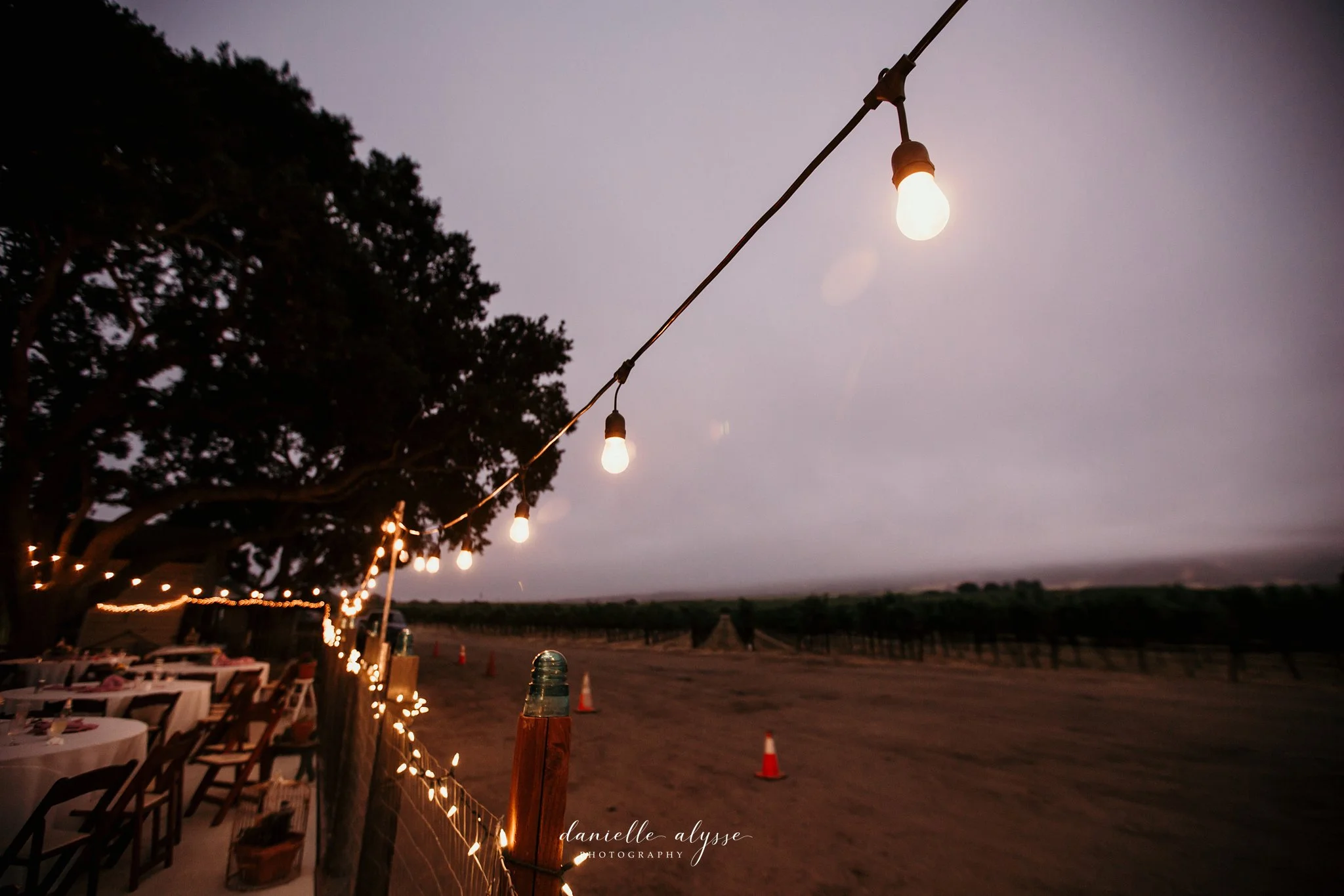 180630_wedding_lily_ryan_mission_soledad_california_danielle_alysse_photography_blog_1214_WEB.jpg