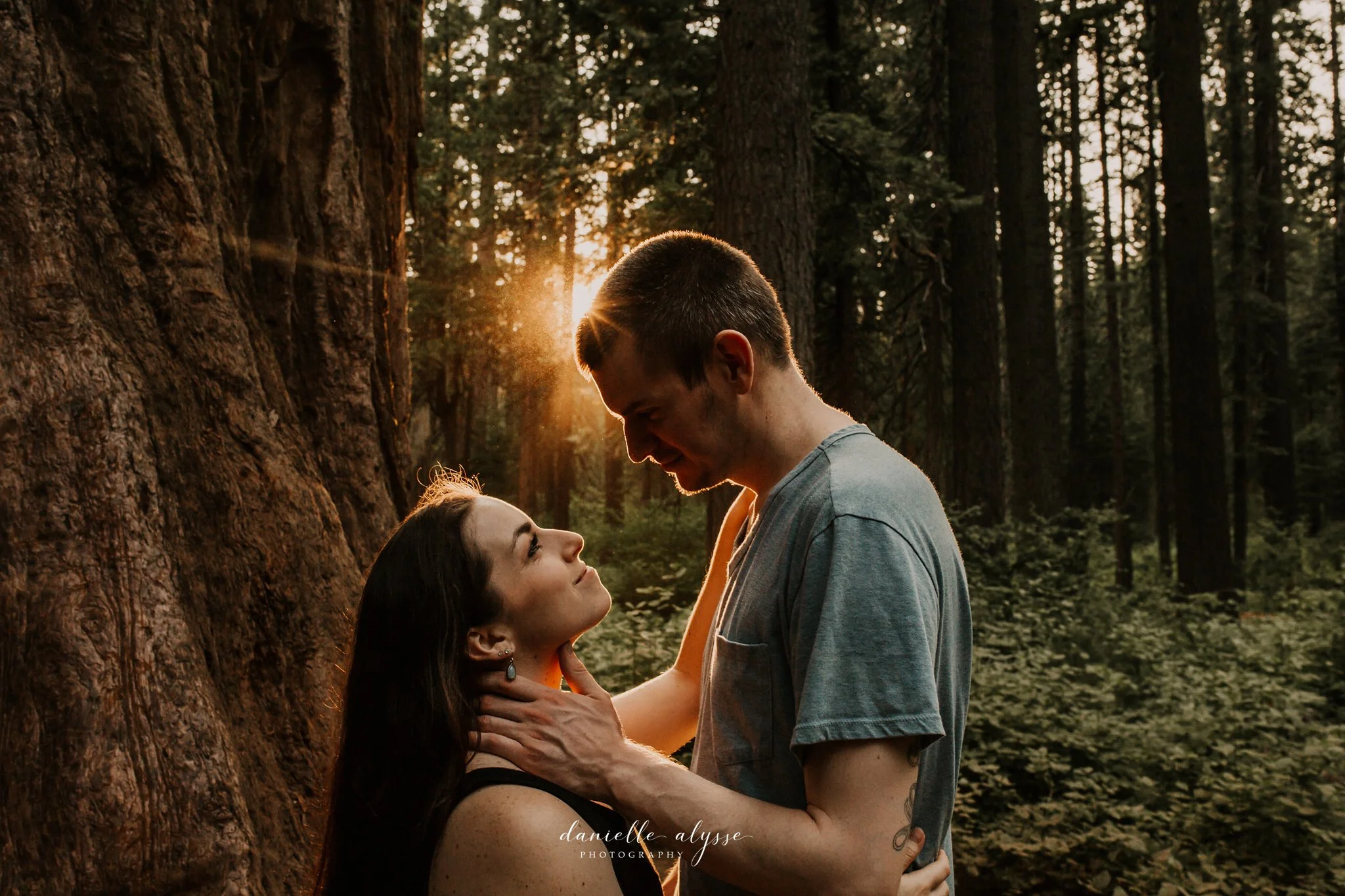 180811_engagement_kathryn_calvaras_big_trees_park_arnold_danielle_alysse_photography_blog_71_WEB.jpg