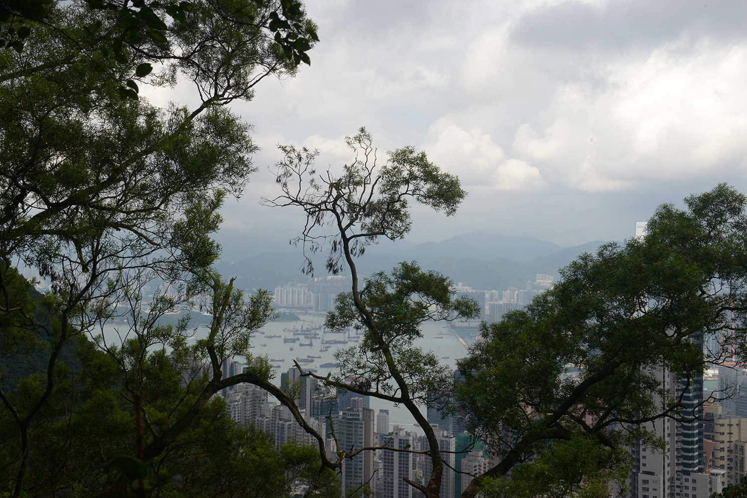 View of Hong Kong from Victoria Peak