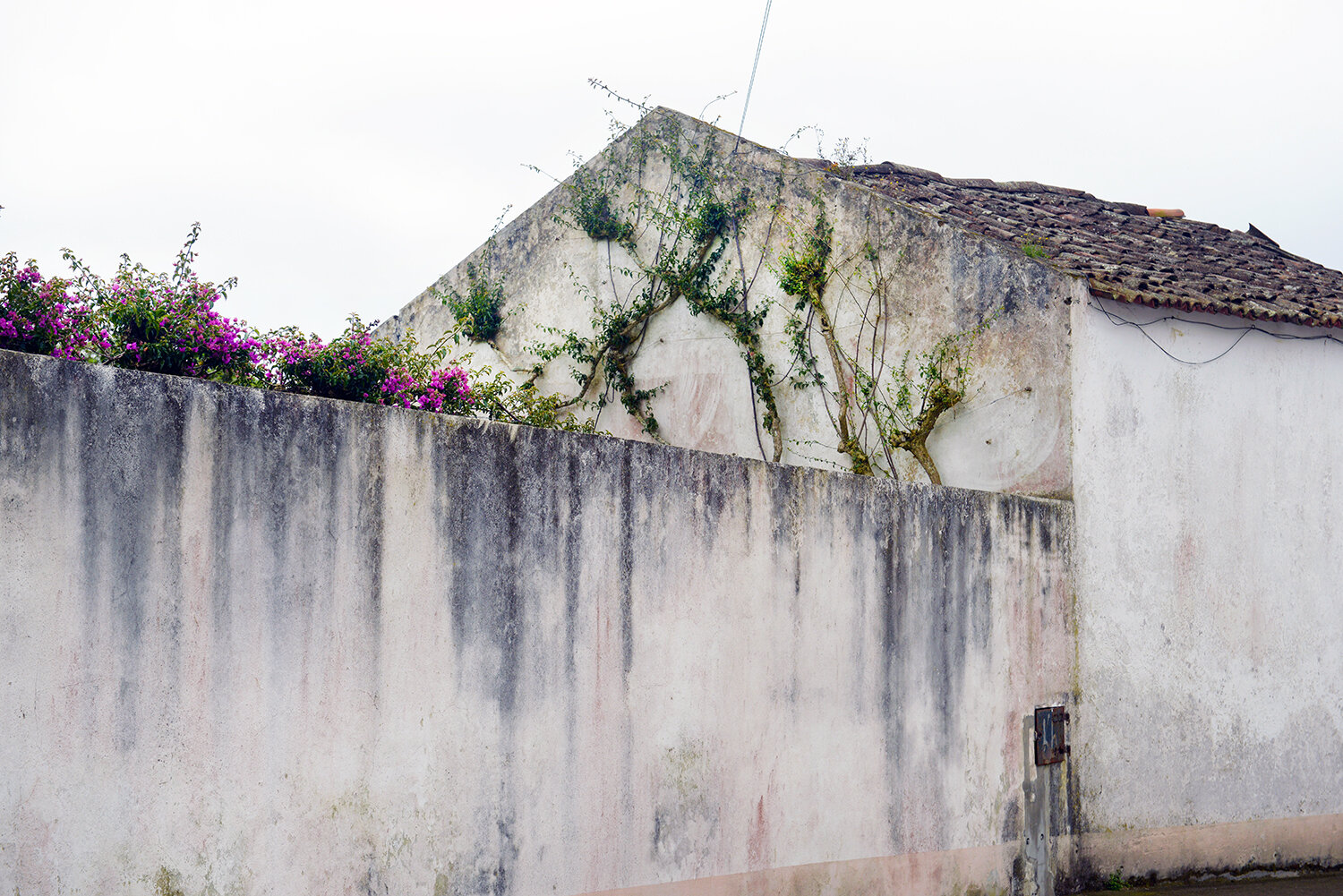 Sao Miguel, Azores, Portugal