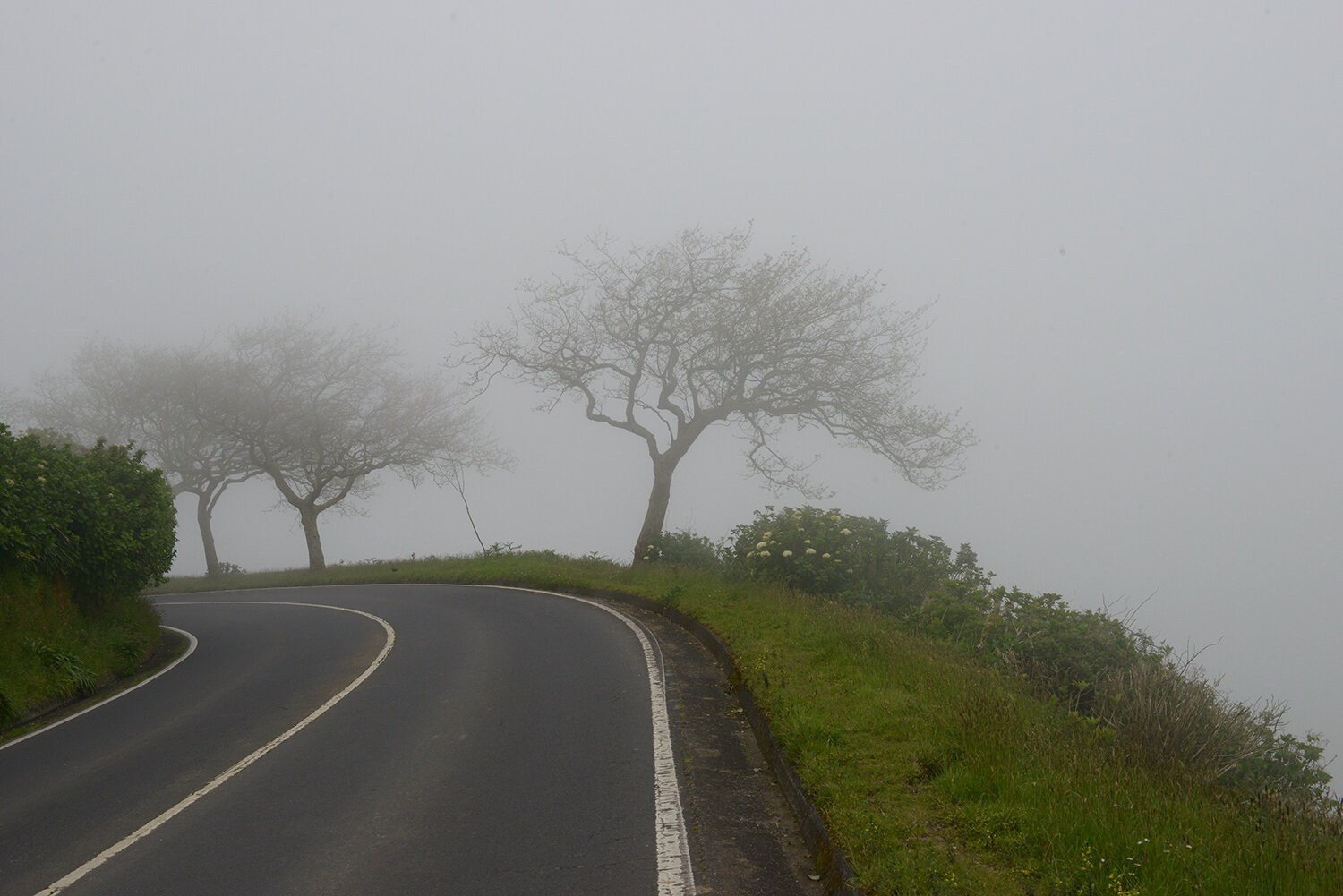 Sao Miguel, Azores, Portugal