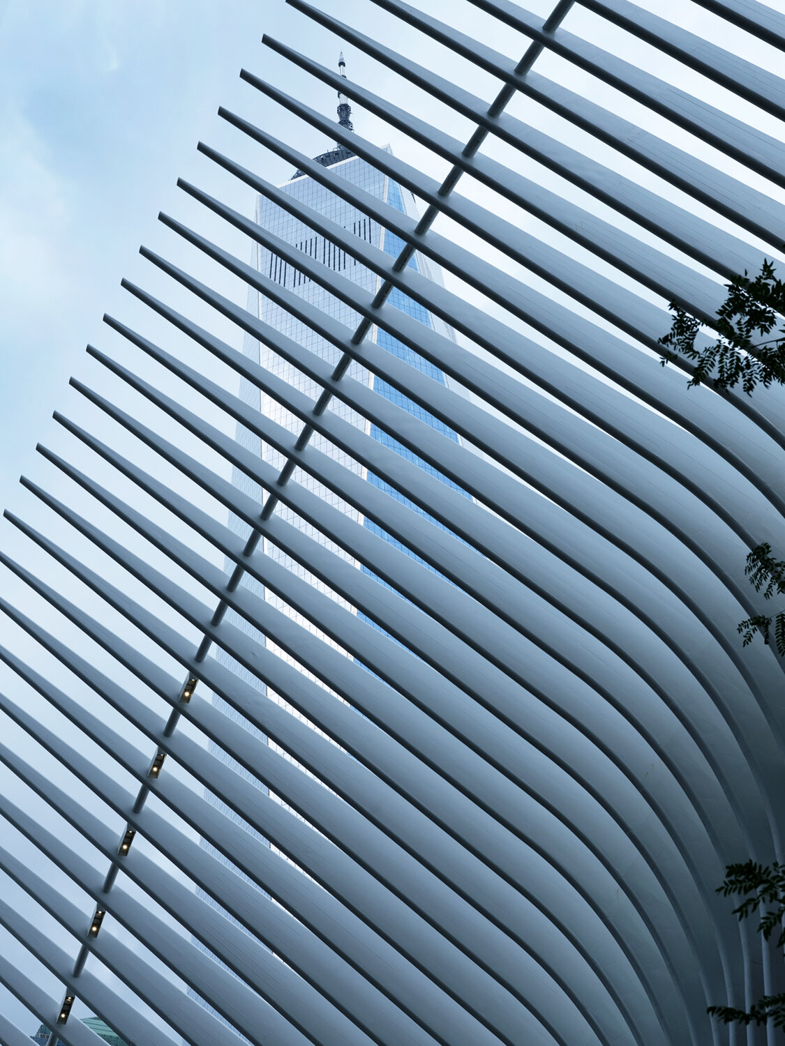 One World Trade Center (Libeskind, Childs, Gottesdiener) and the Oculus (Calatrava), NYC. 