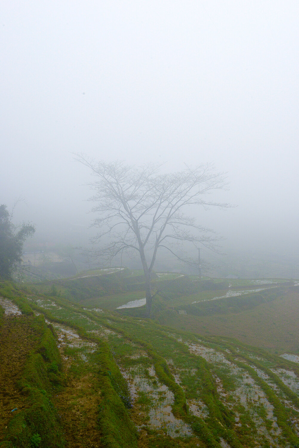 Sa Pa District, Vietnam