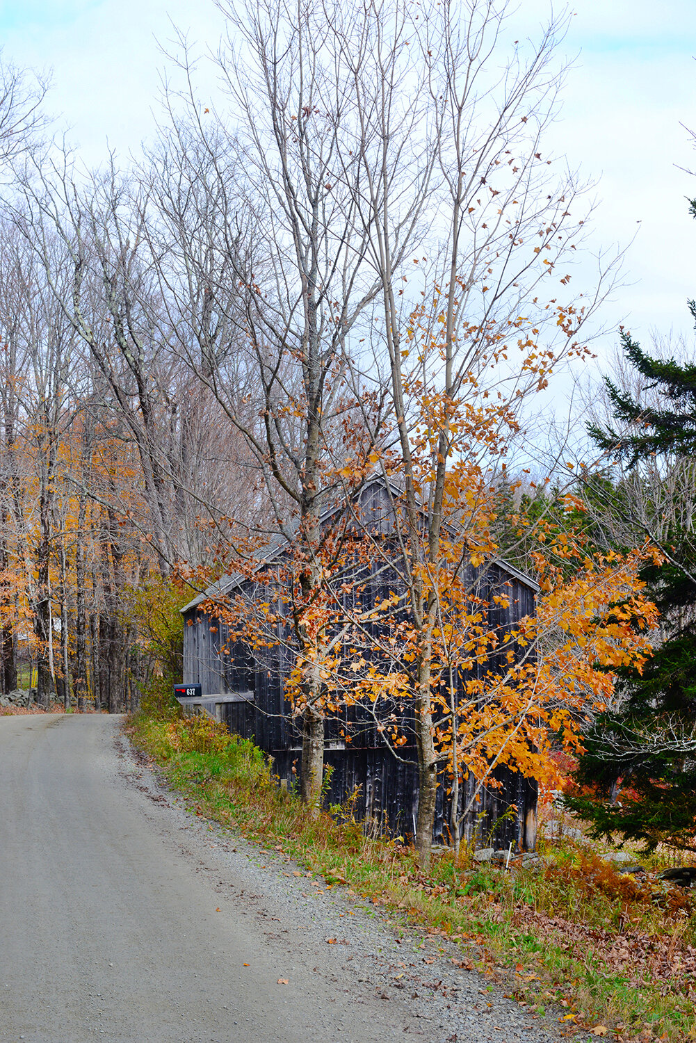 Near Brattleboro, VT