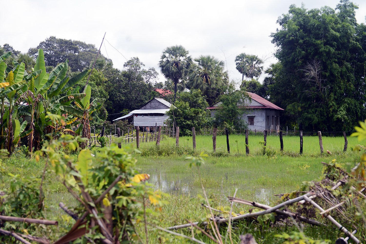 Outside Siem Reap, Cambodia