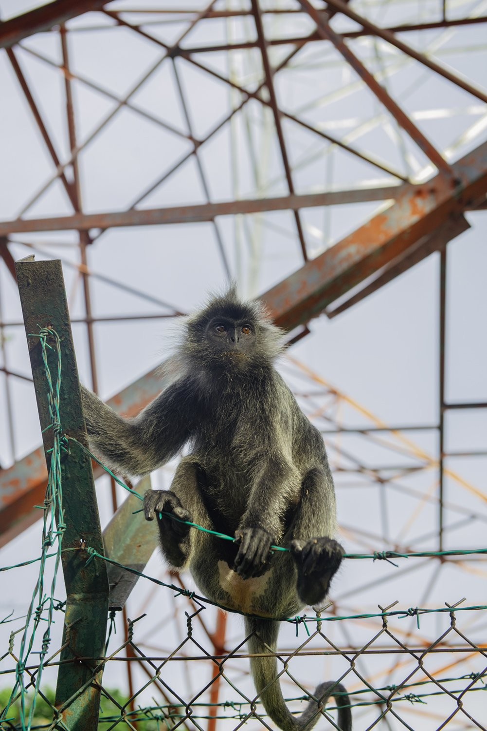  Bukit Melawati, Kuala Selangor, Malaysia 