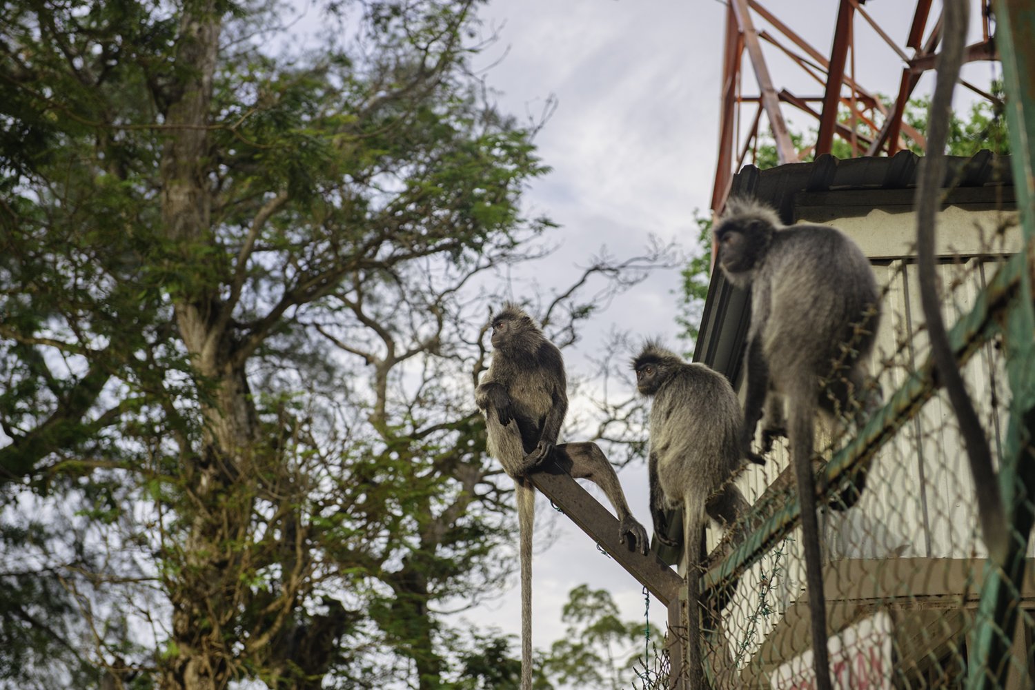  Bukit Melawati, Kuala Selangor, Malaysia 