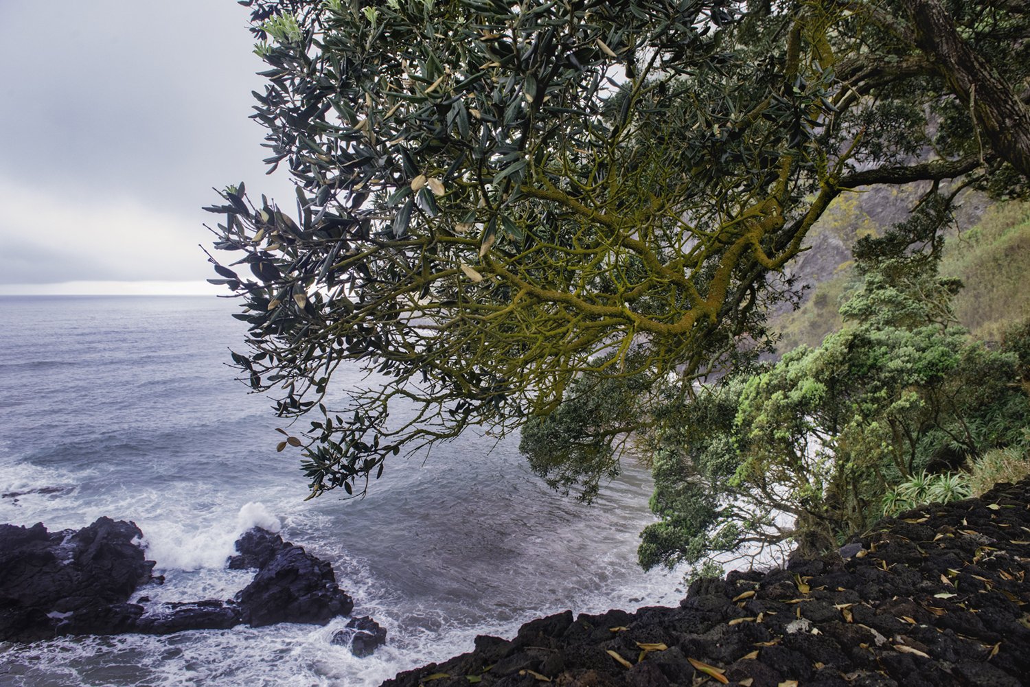 Sao Miguel, Azores, Portugal