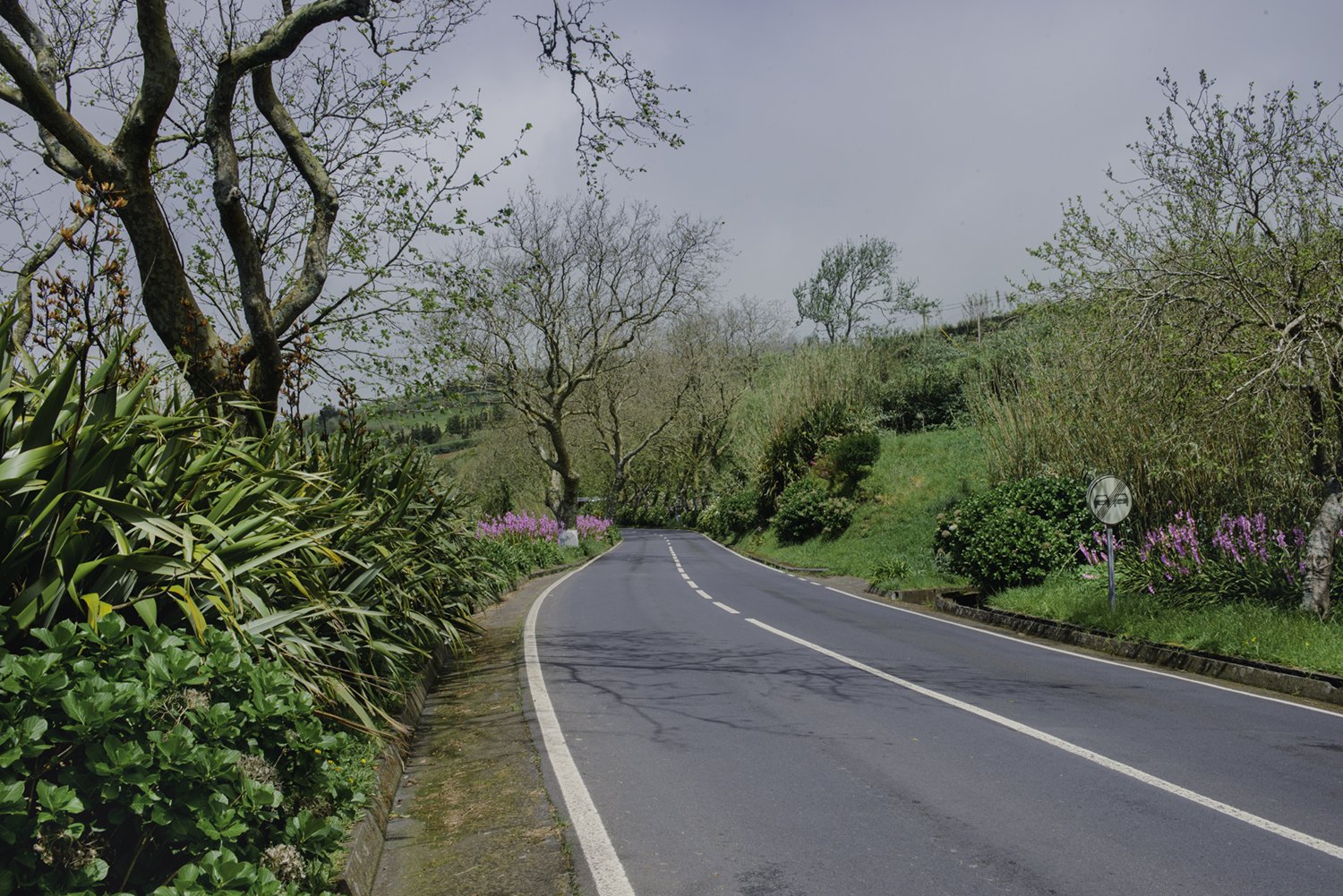 Sao Miguel, Azores, Portugal