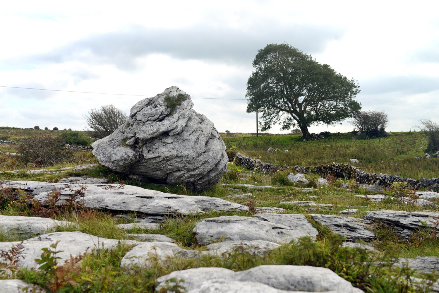 The Burren, County Clare, West Coast of Ireland 