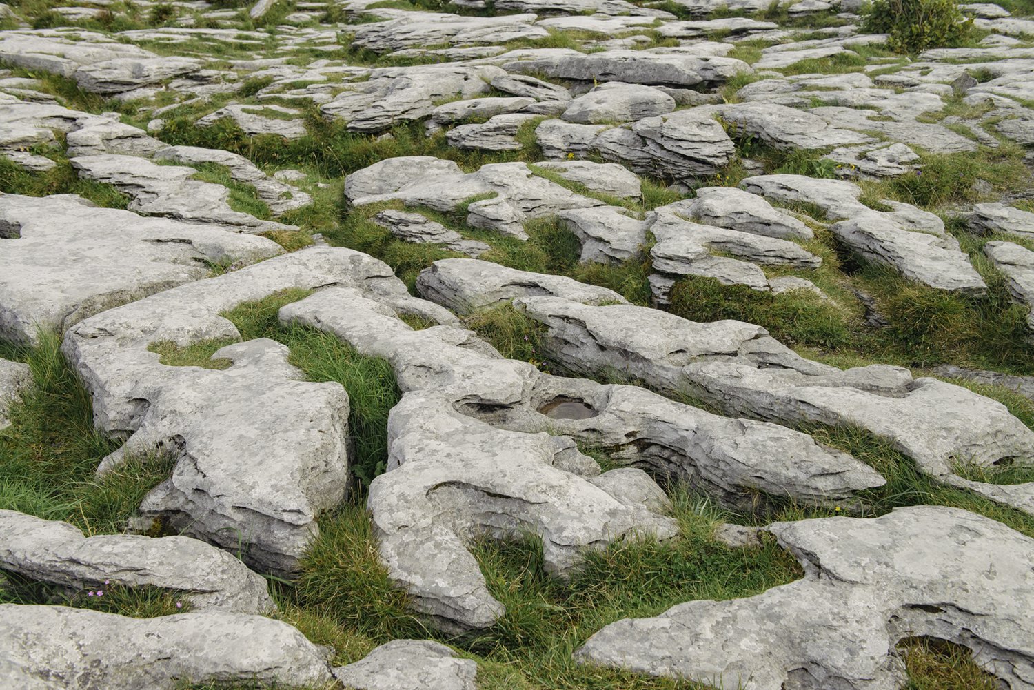 The Burren, West Coast of Ireland