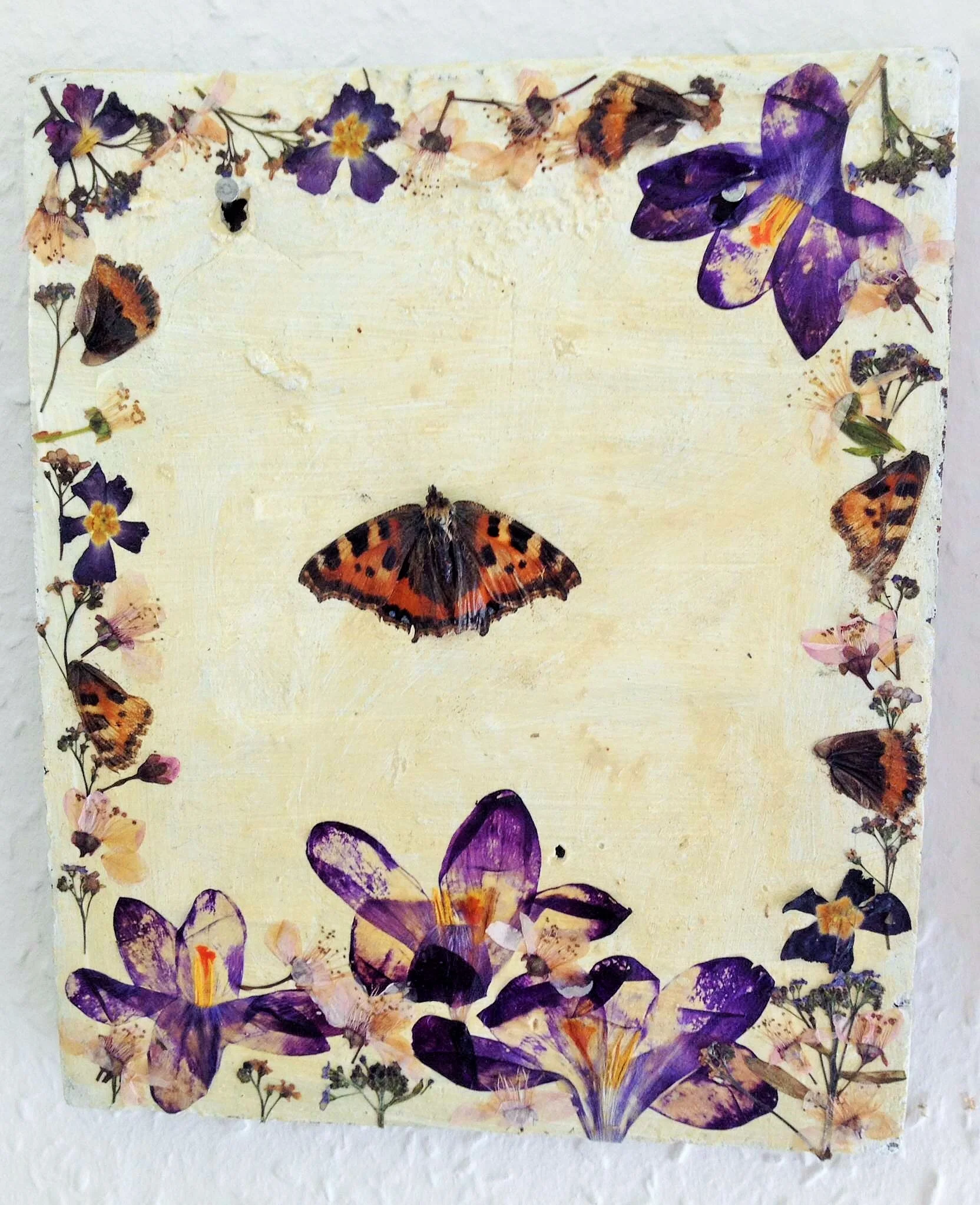 Terracotta shrine with dead red admiral and pressed flowers