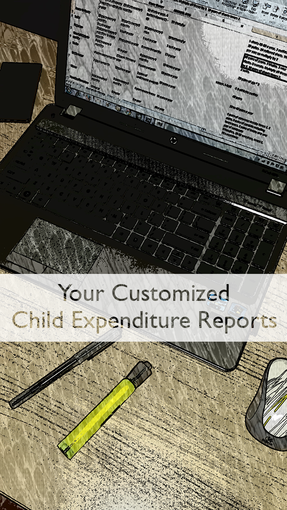 High income child support expense reports