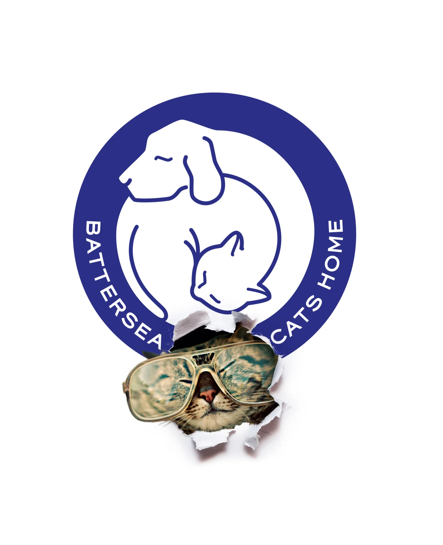 PAPER CAT glasses_RGB_v1_31.jpg