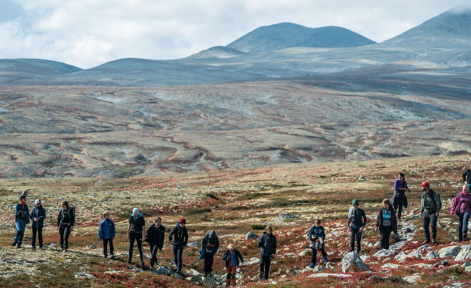 Her gås det manngard i leting etter kulturminner. Foto: Rebecca Nedregotten Strand.