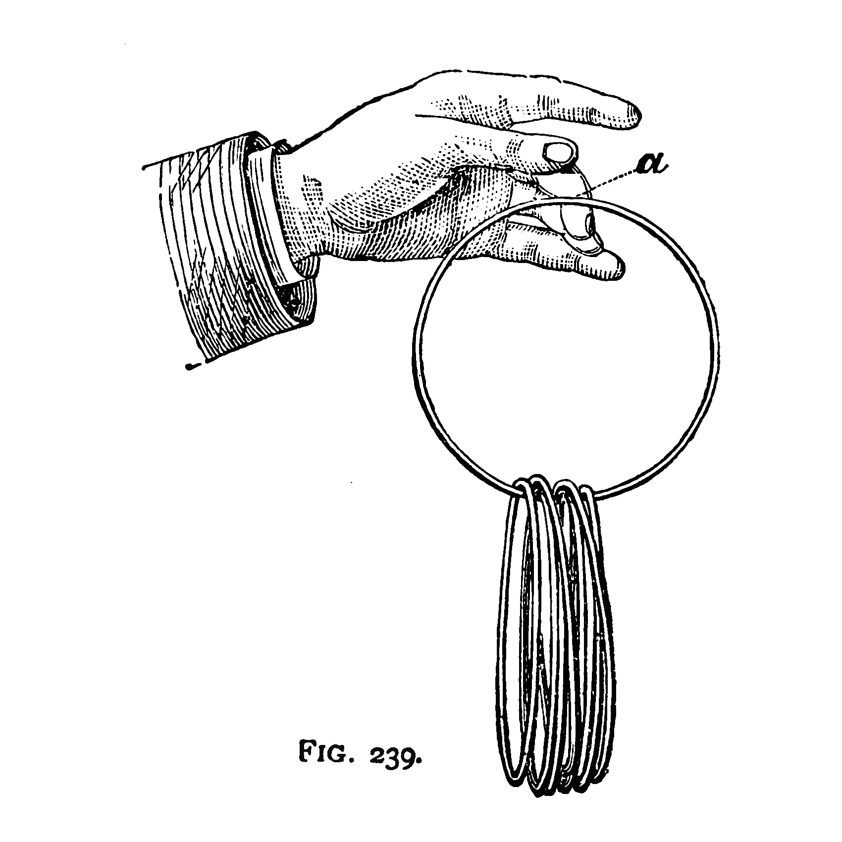 rings.jpg