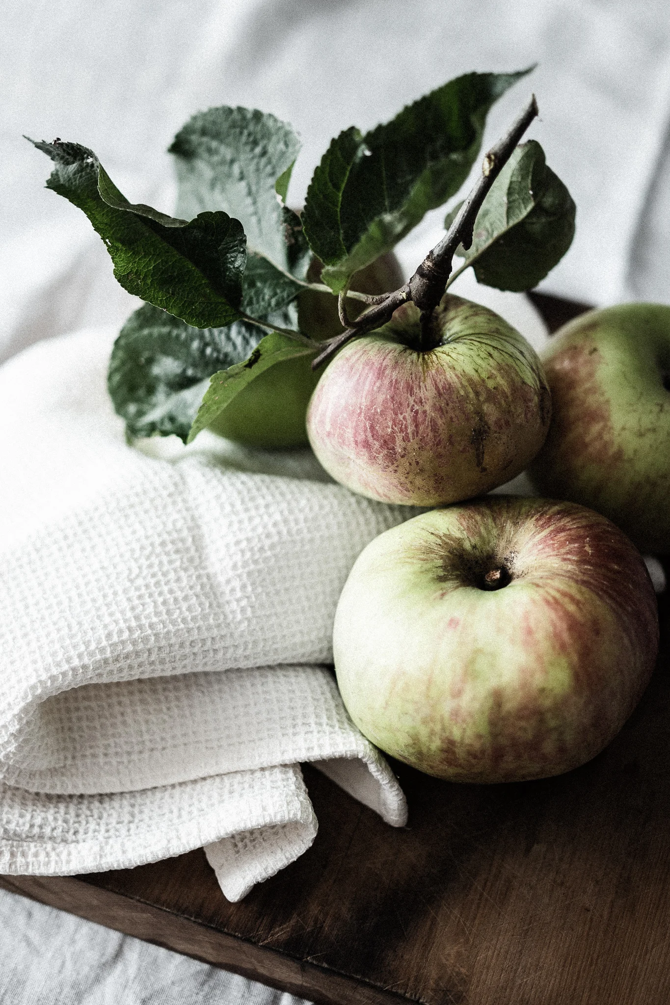 Freshly Picked Apples