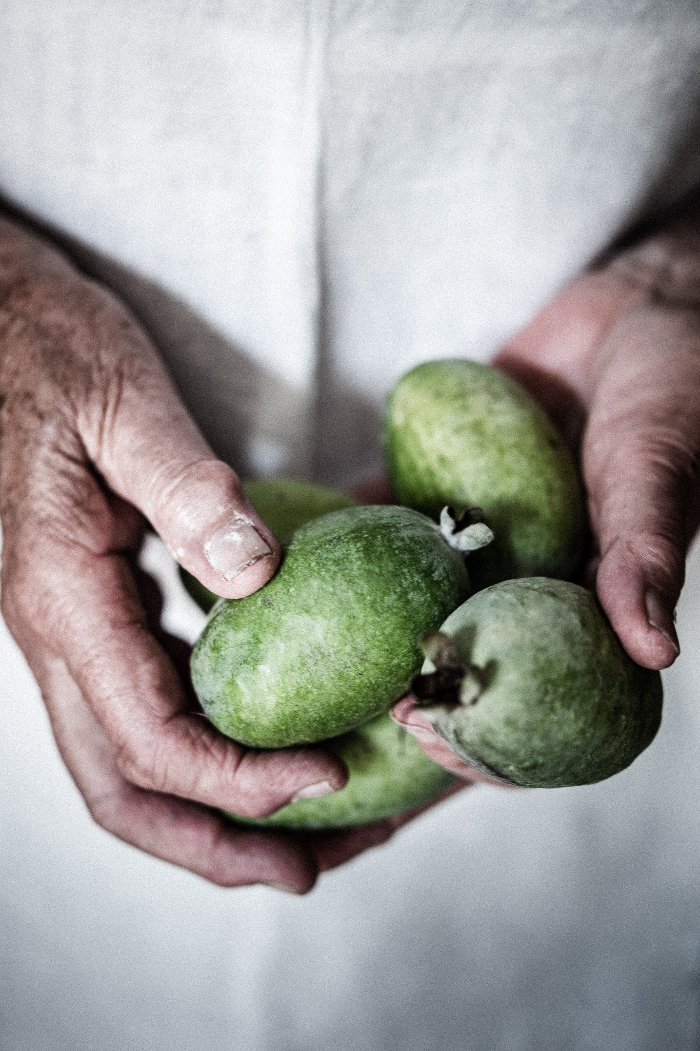 Feijoas Straight From The Tree