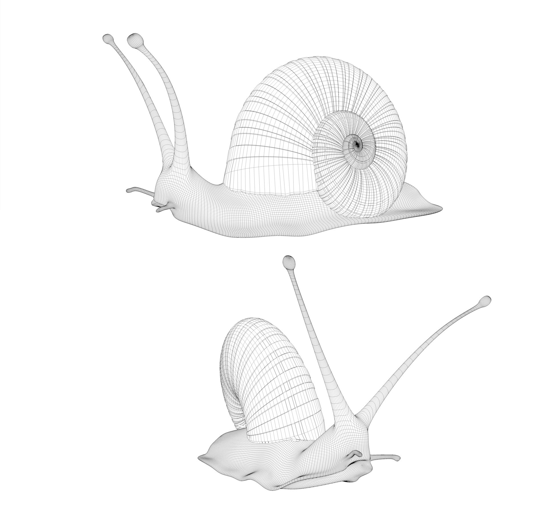 Wire-snail.jpg