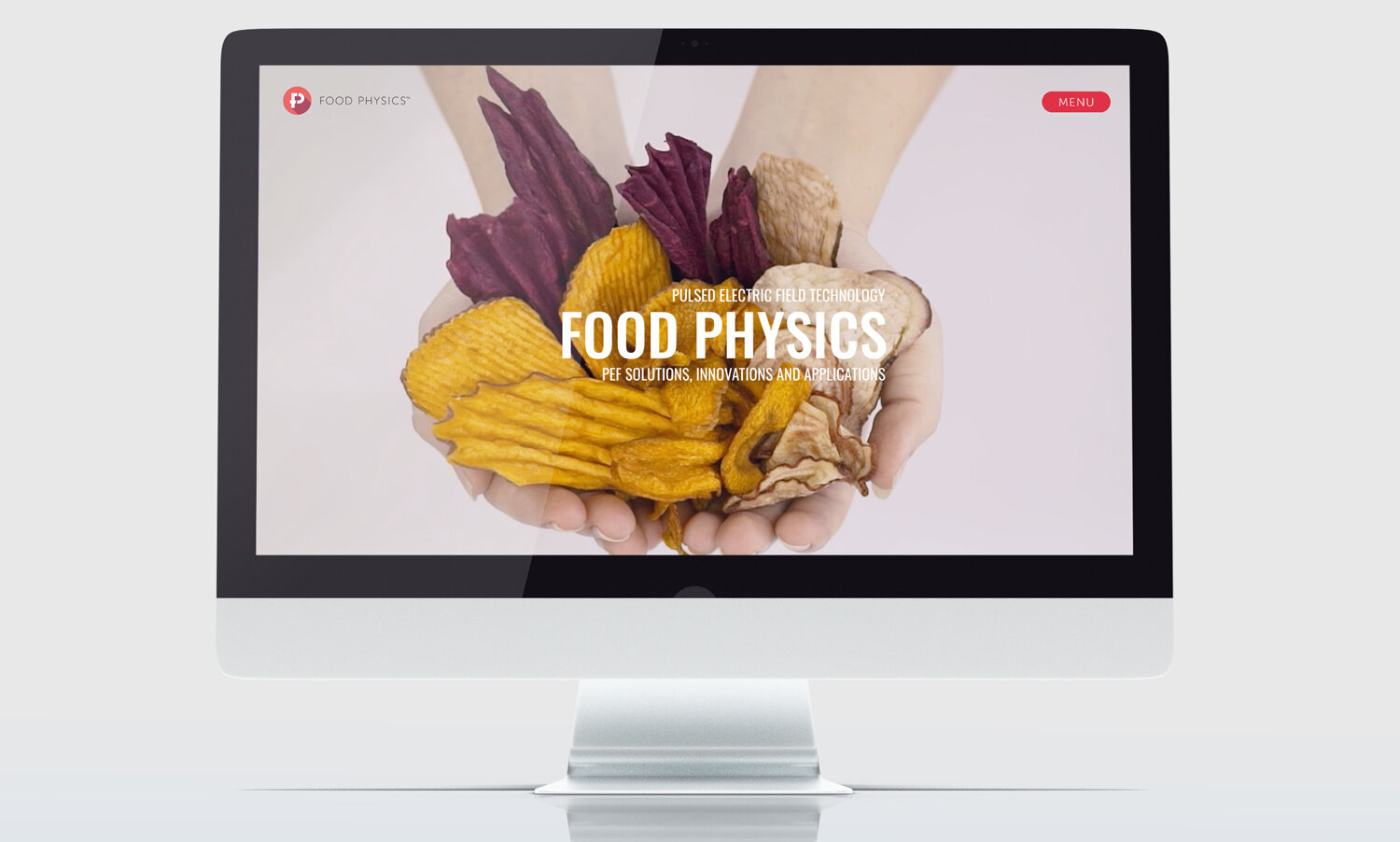 Food-Physics-website-4.jpg