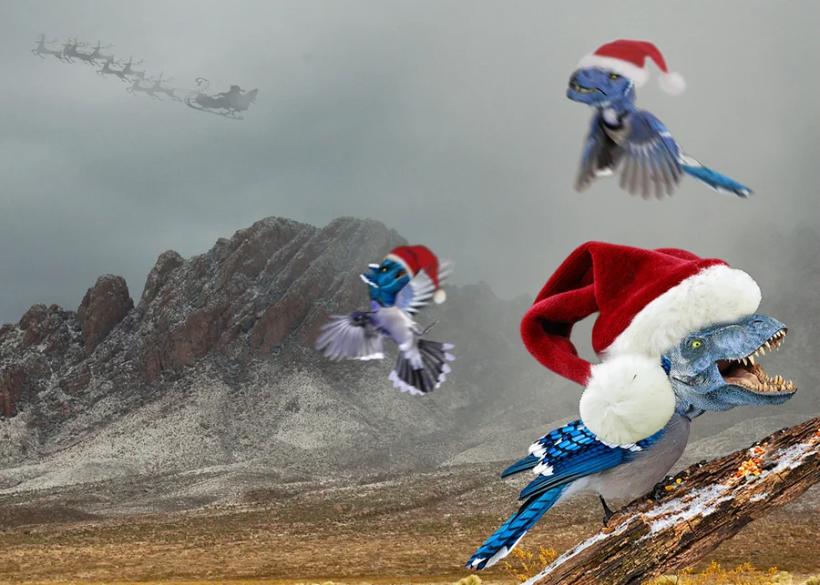 rare-nature-print-1-happy-christmas-web.jpg