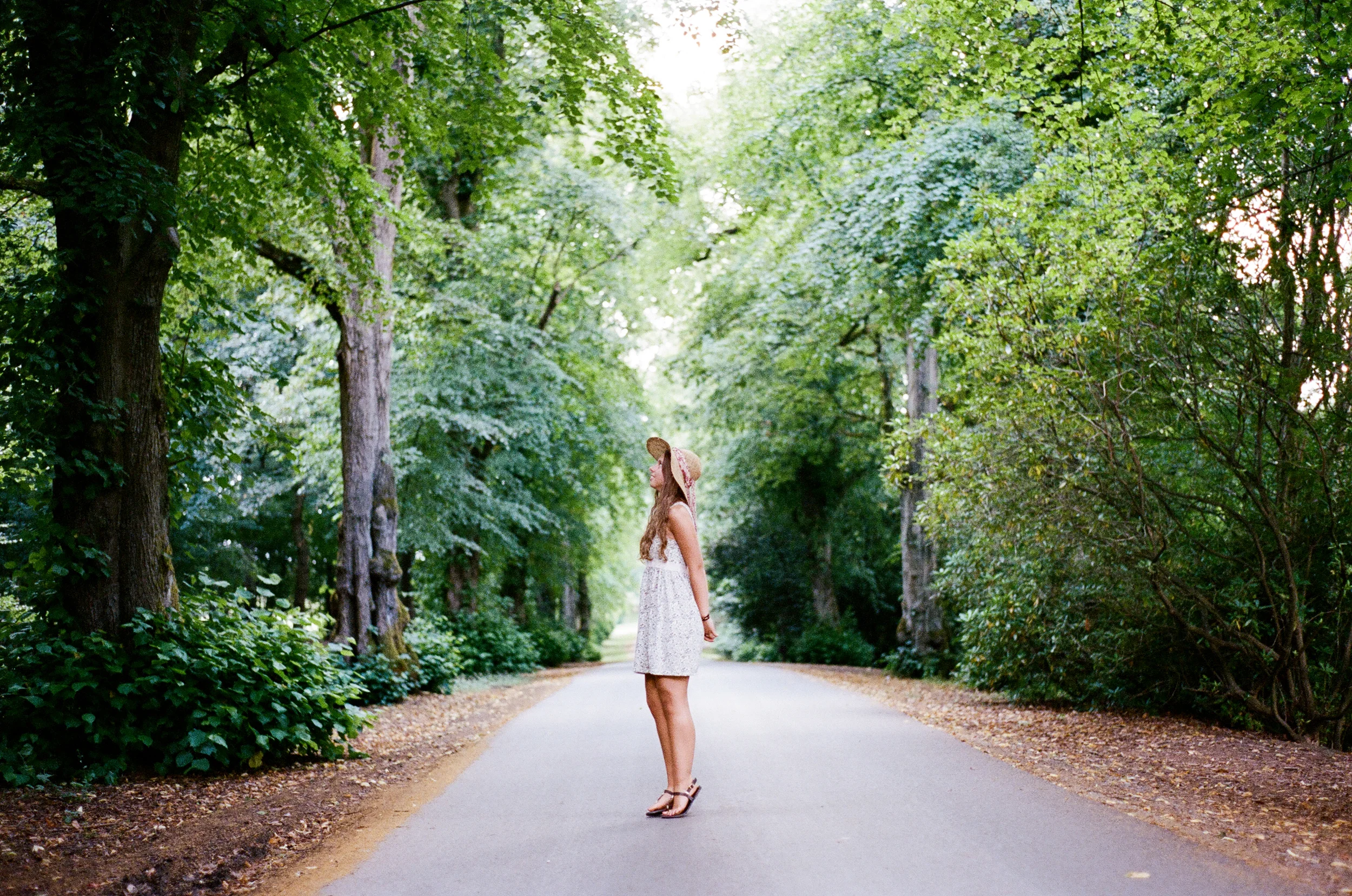 Kodak Portra - 20131022-01243.jpg
