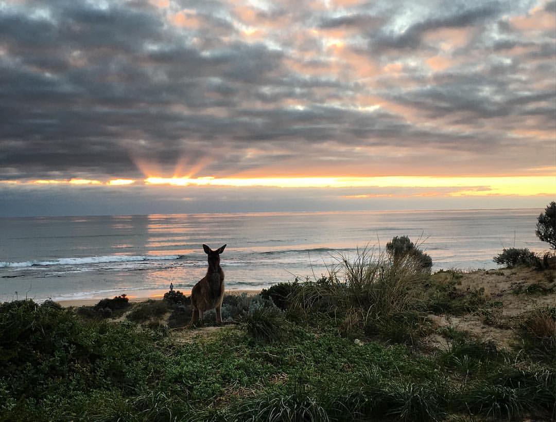 Image: @life_with_zayne on Instagram