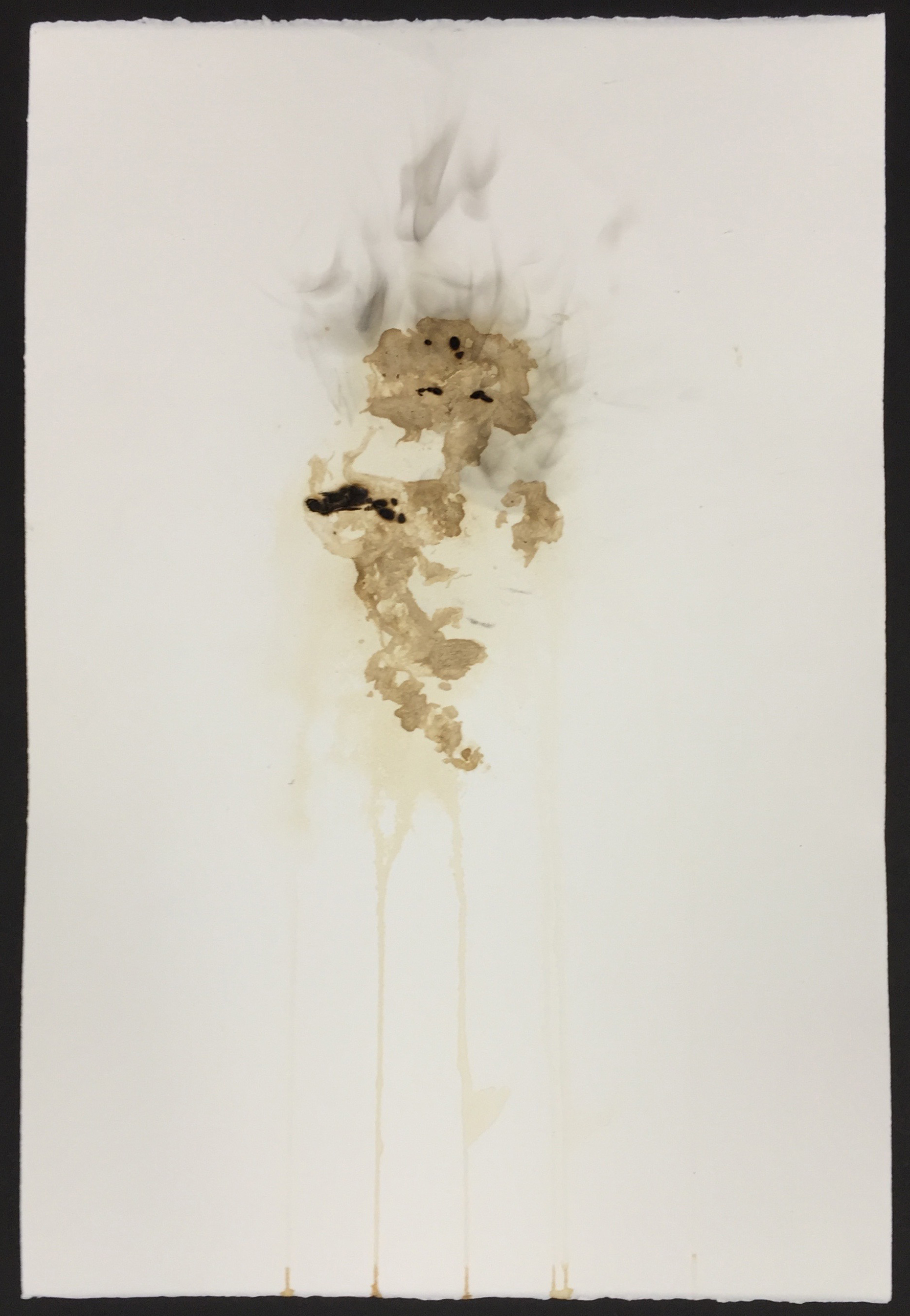  Tobacco print, smoke, scorched paper  15x22 