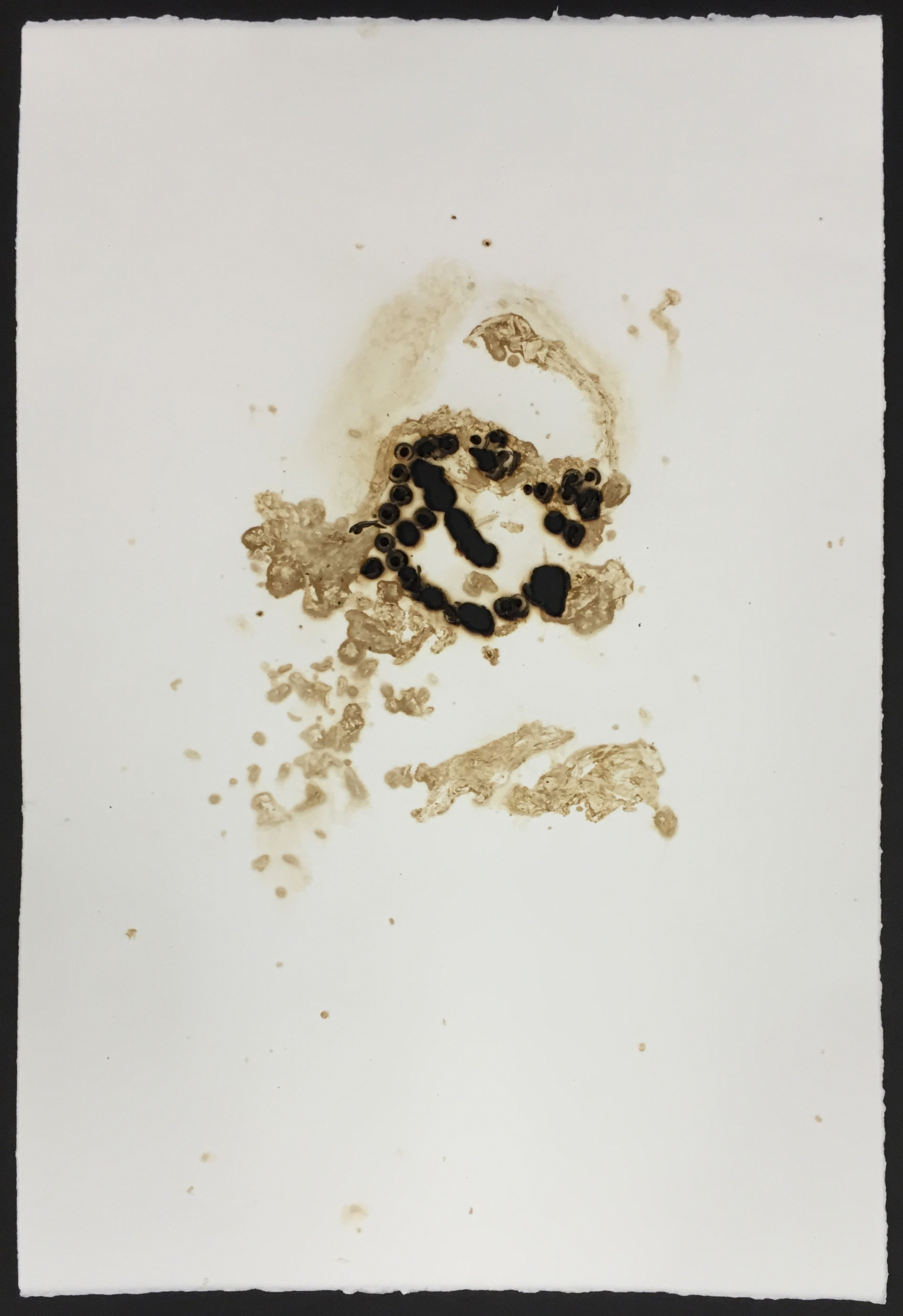  Tobacco print with scorched paper  15x22 