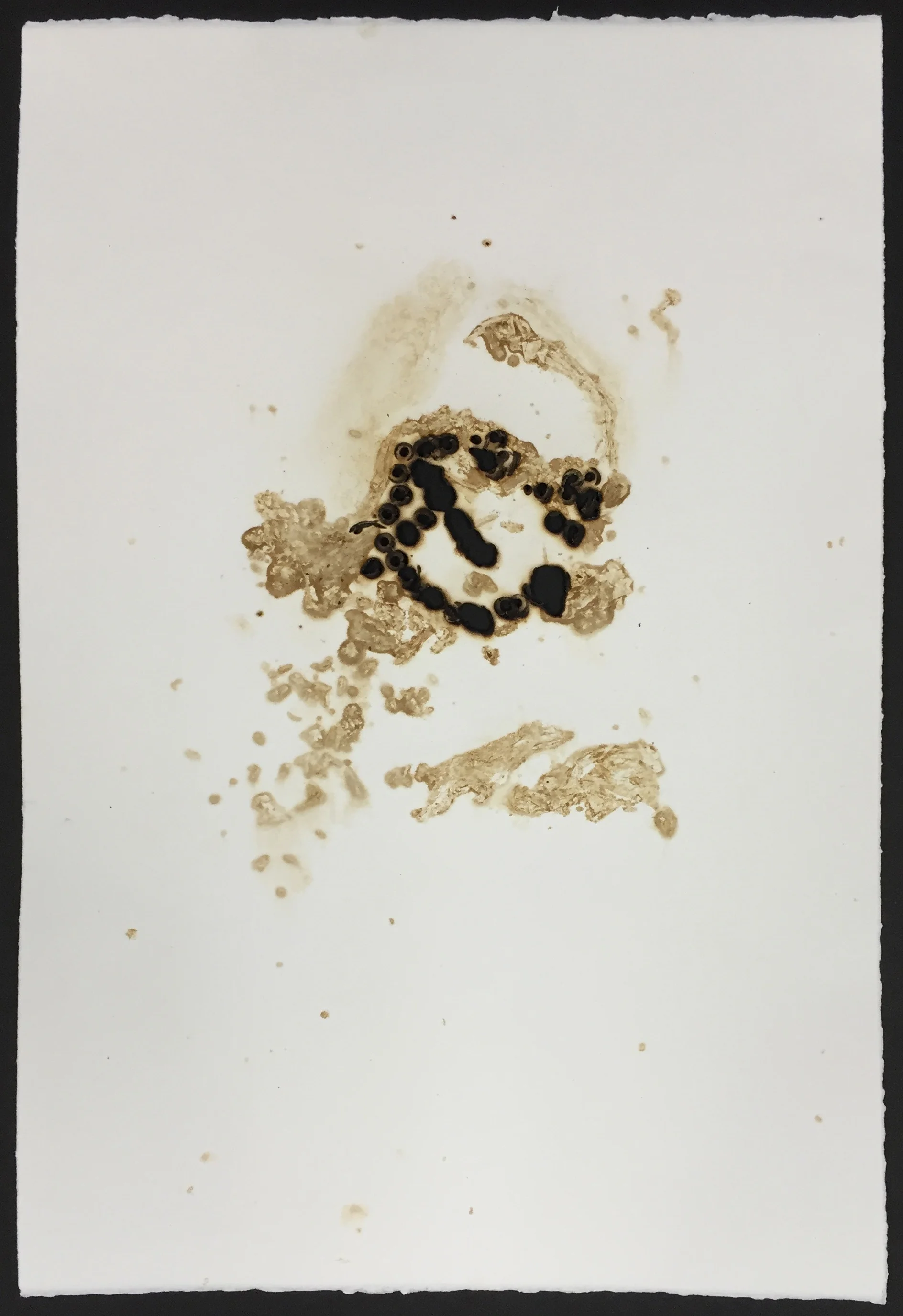 Tobacco print with scorched paper 15x22