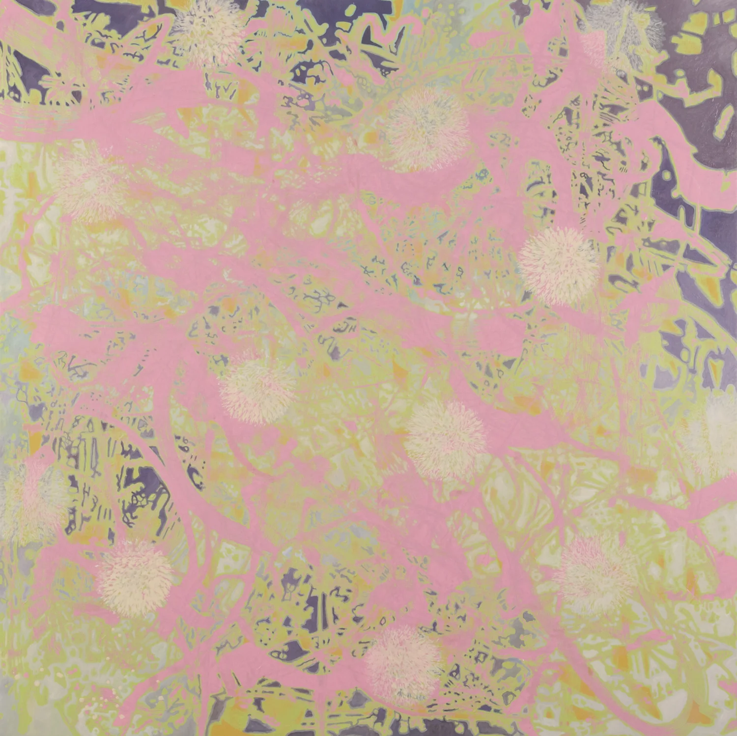 Pink Hybrid