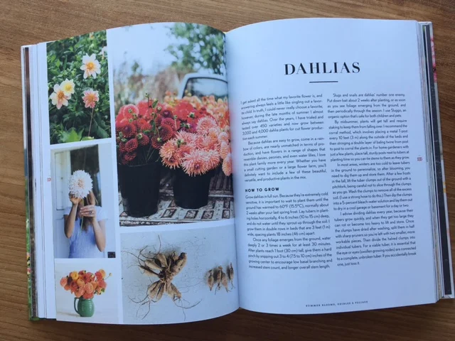 Floret Dahlias.jpg