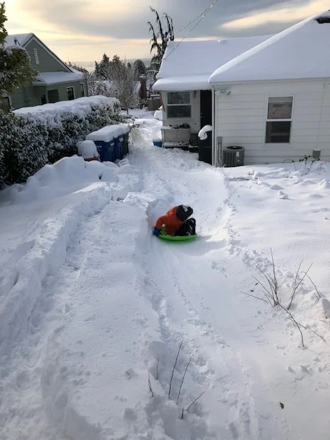 backyard sled.jpg