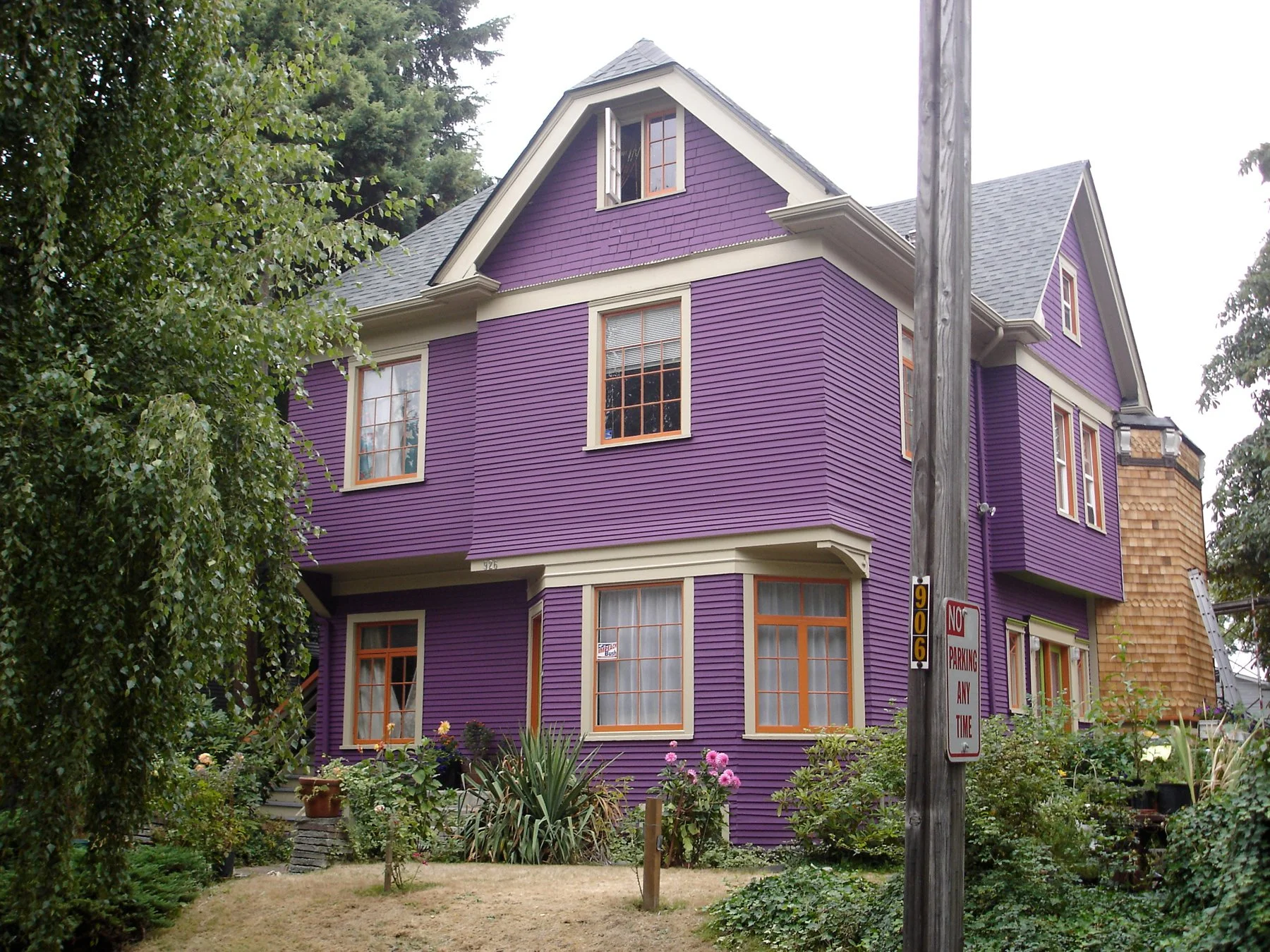 Purple05.jpg