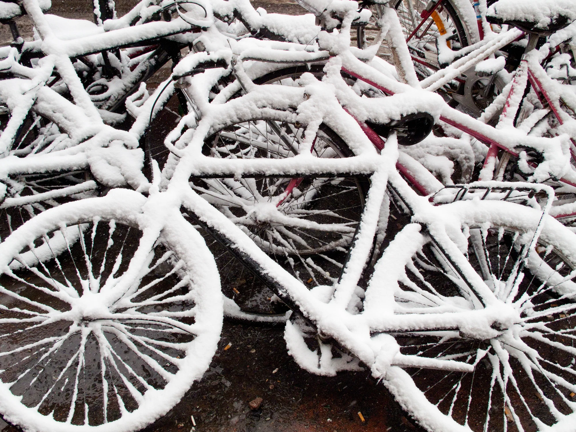 Hibernating_Bikes__1.jpg