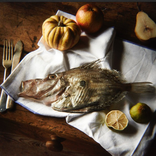John Dory