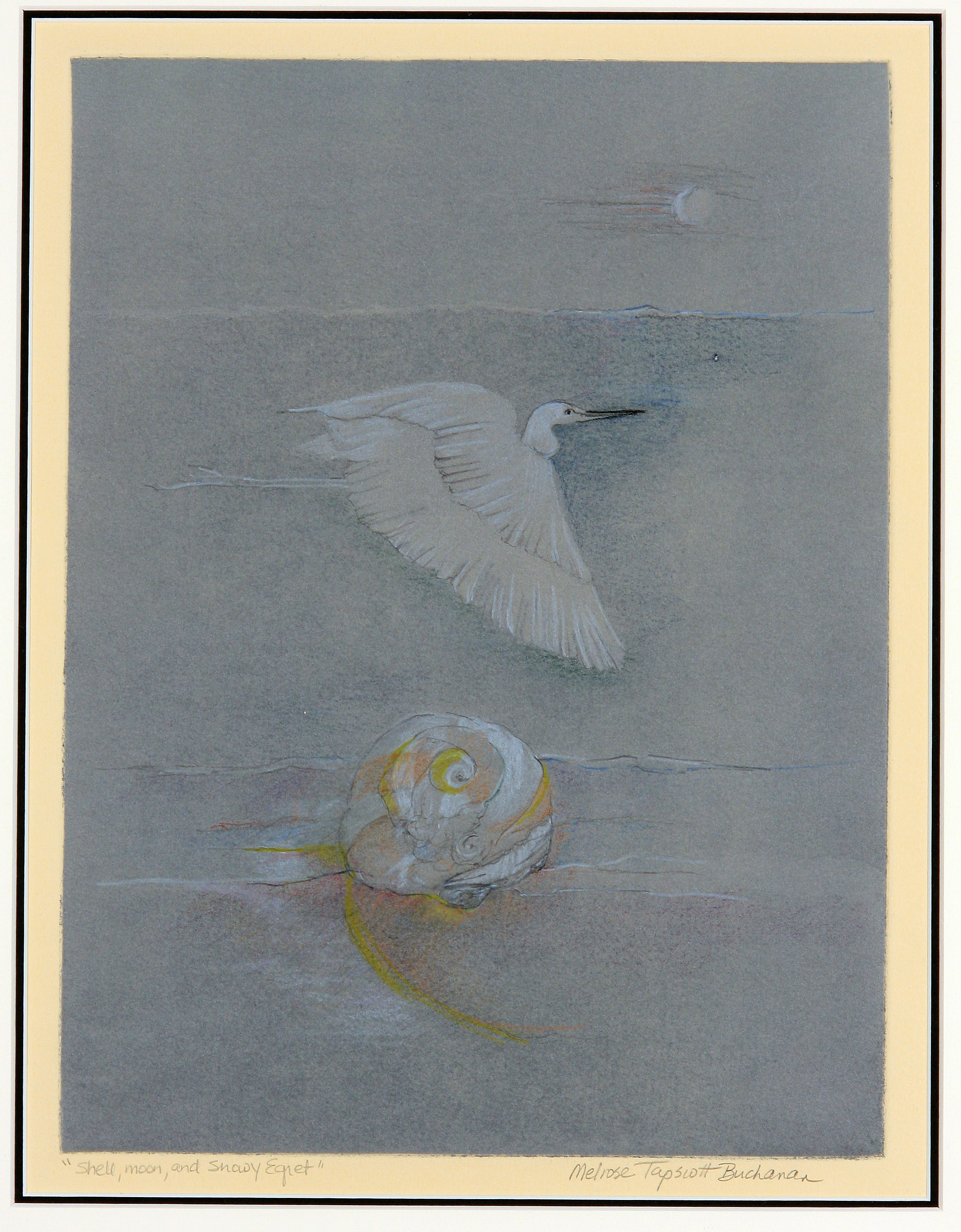 Shell, Moon, and Snowy Egret