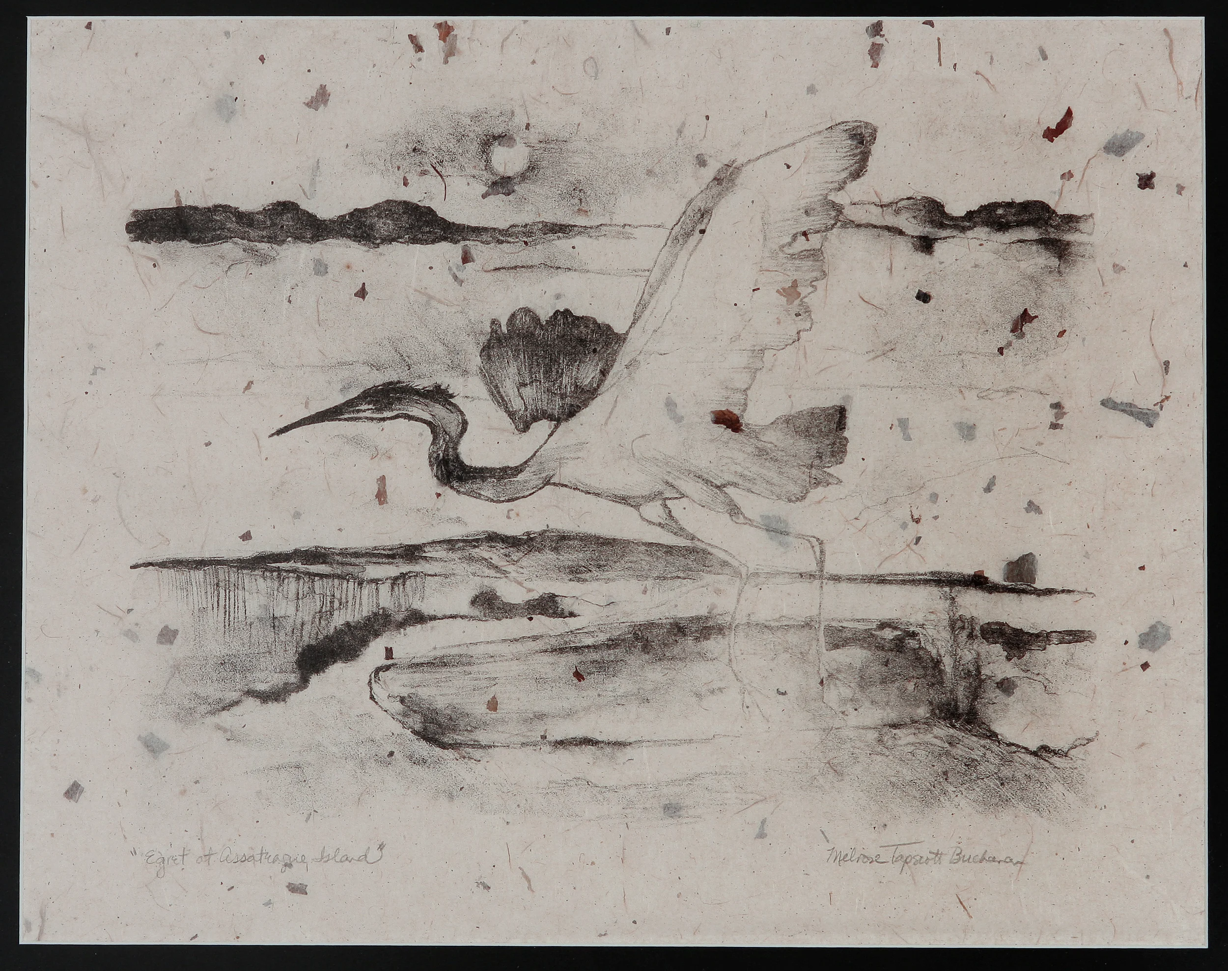 Egret of Assateague Island
