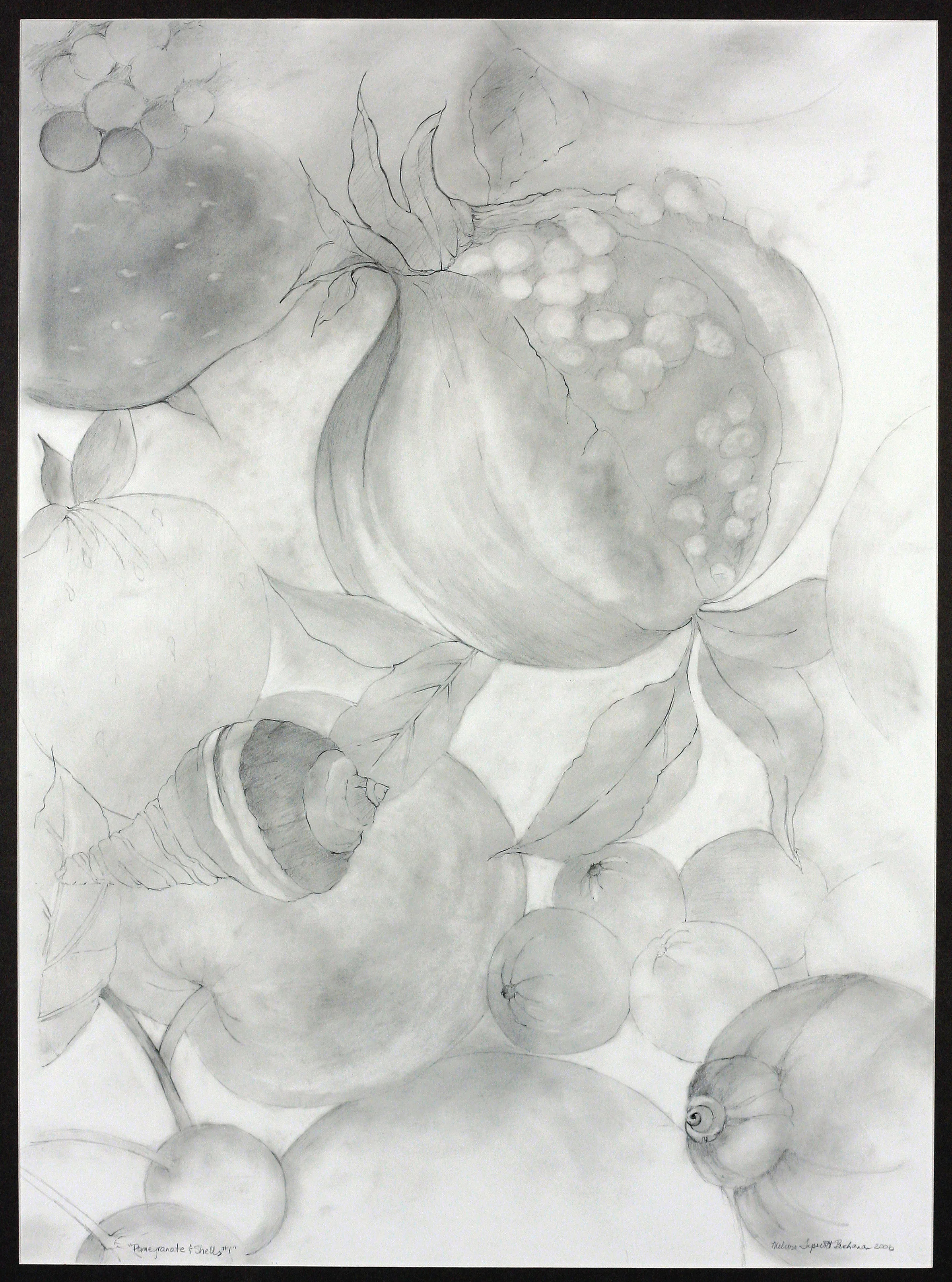 Pomegranate and Shells #1