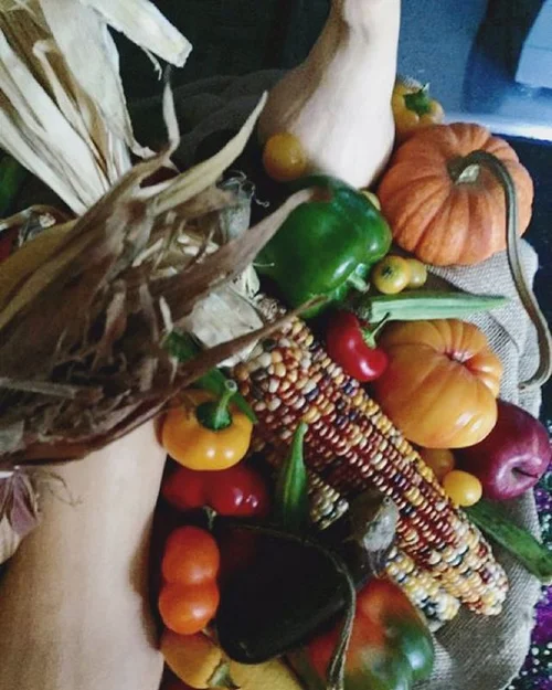 We have an abundance of things to be thankful for this year. Happy Thanksgiving to you and your loved ones!