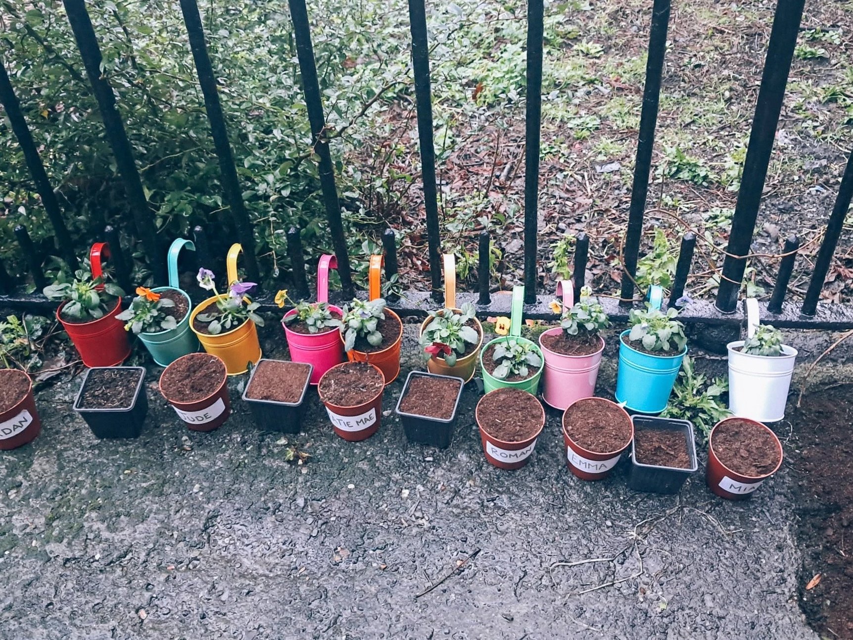 From Tiny Seeds to Big Ideas