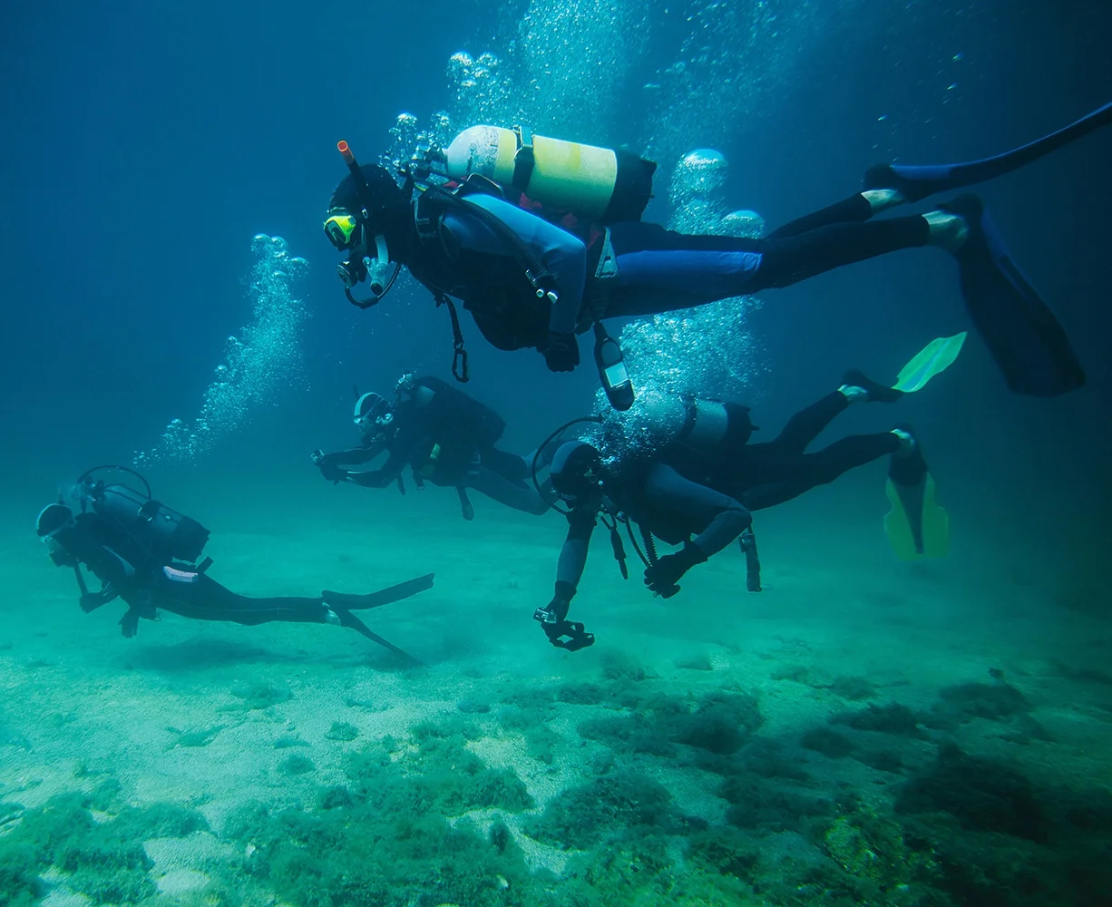 Professional Divers - Diving in to a new Image