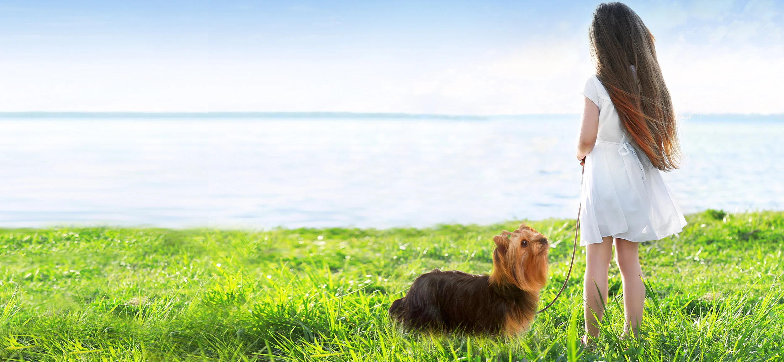 Spring Cleaning: Tips on Revamping Your Brand This Season