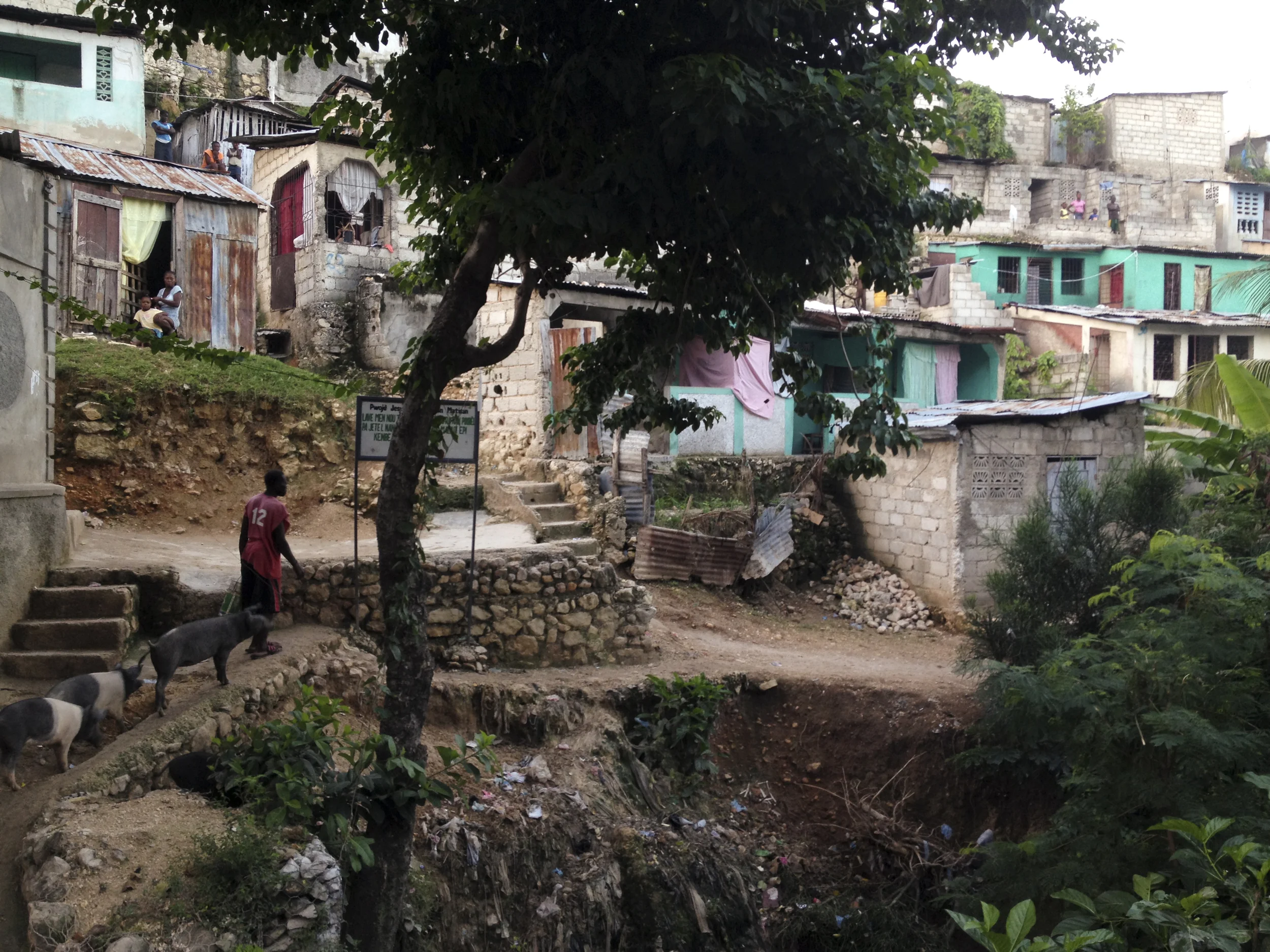 2013-10-18 06.53.15.jpg