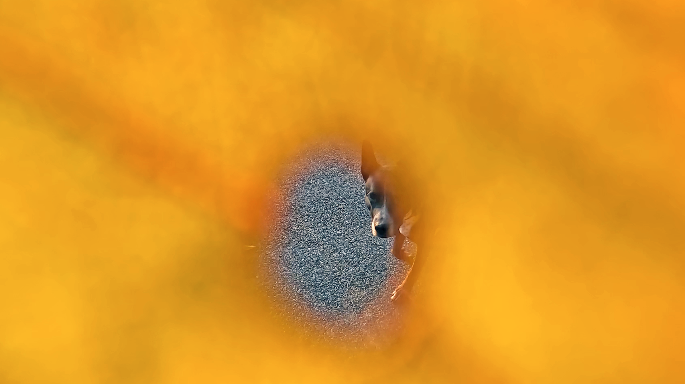 Still Image from Becoming World, 2026