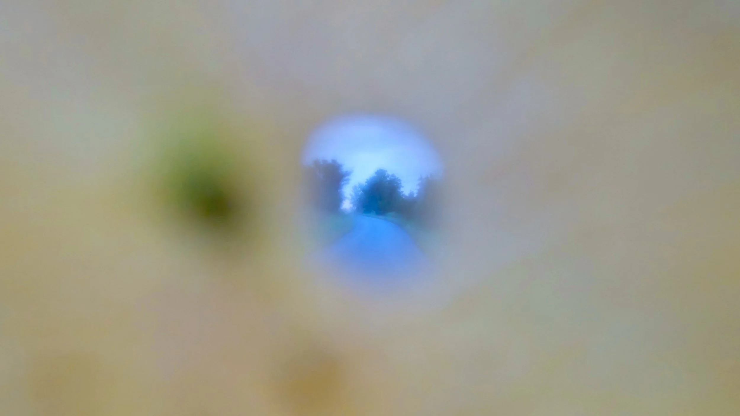 Still Image from Becoming World, 2026