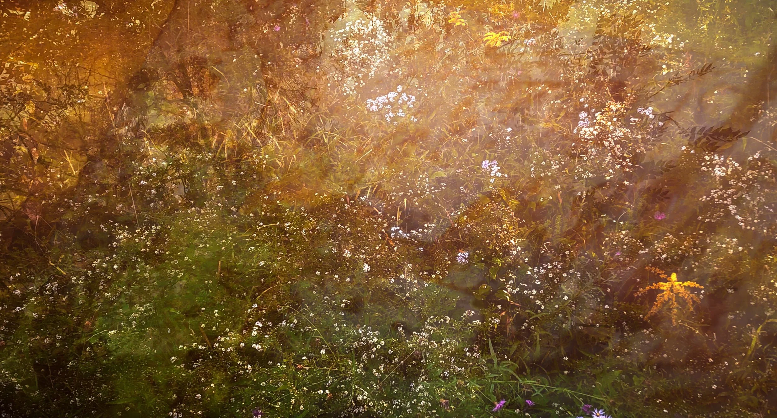 Still Image from Becoming World, 2026