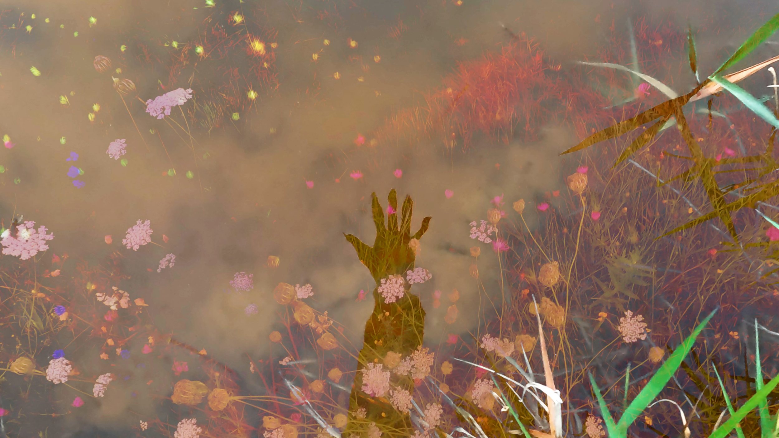 Still Image from Becoming World, 2026