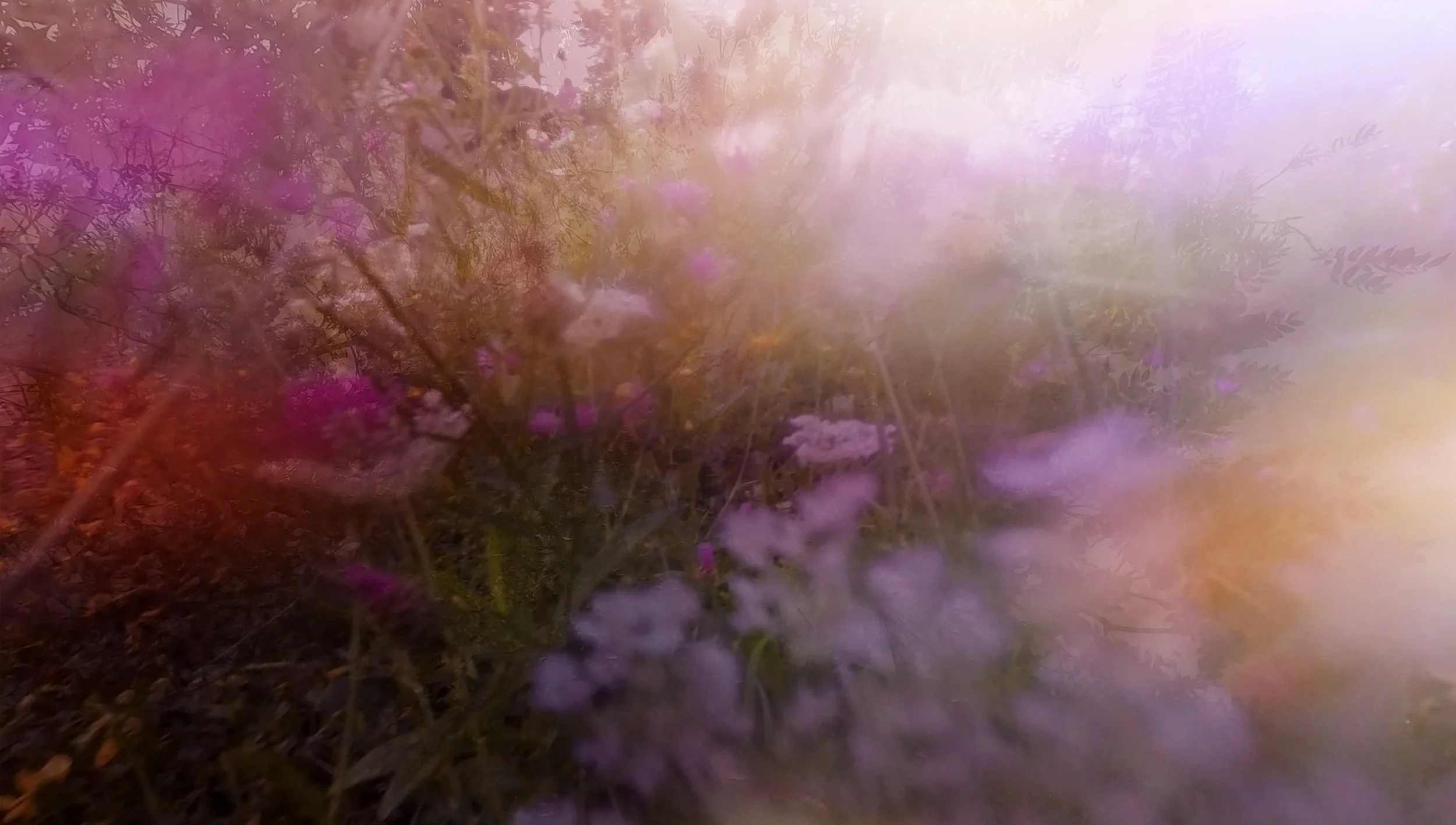 Still Image from Becoming World, 2026